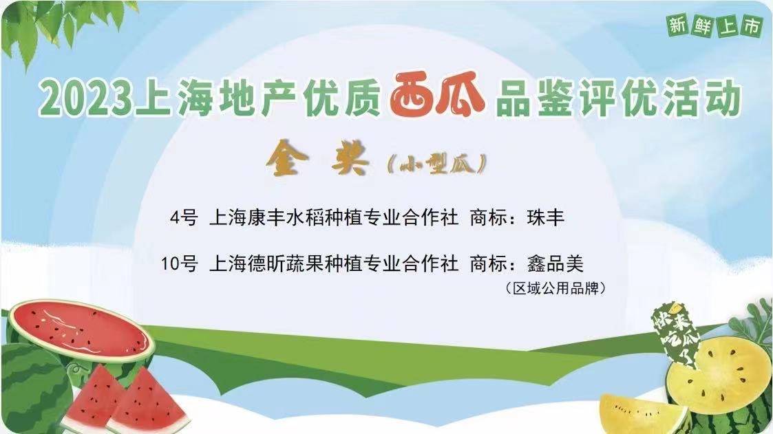 welcome皇冠注册_今年金奖西瓜出炉welcome皇冠注册，上海举办2023年上海地产优质西瓜品鉴评优和展示活动