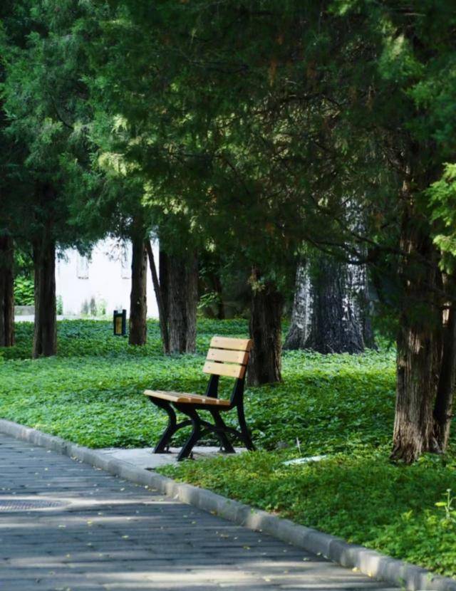 皇冠信用网足球代理_最便宜收费公园？北京一公园门票仅0.2元皇冠信用网足球代理，季票价3元