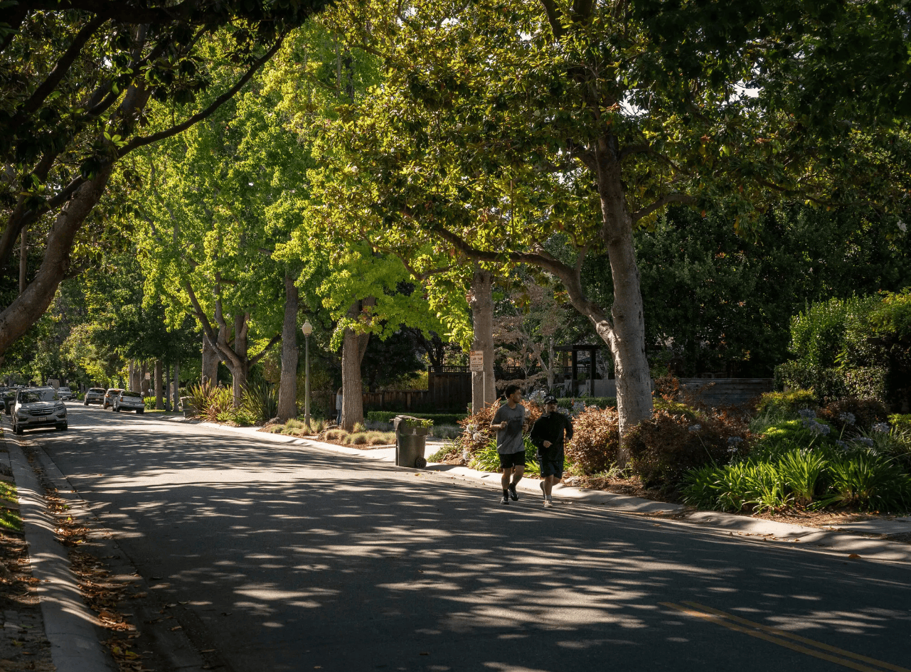 皇冠信用網代理出租
_买下11栋房子皇冠信用網代理出租
,私下收学生隐蔽办学?扎克伯格遭邻居质疑,引来政府调查