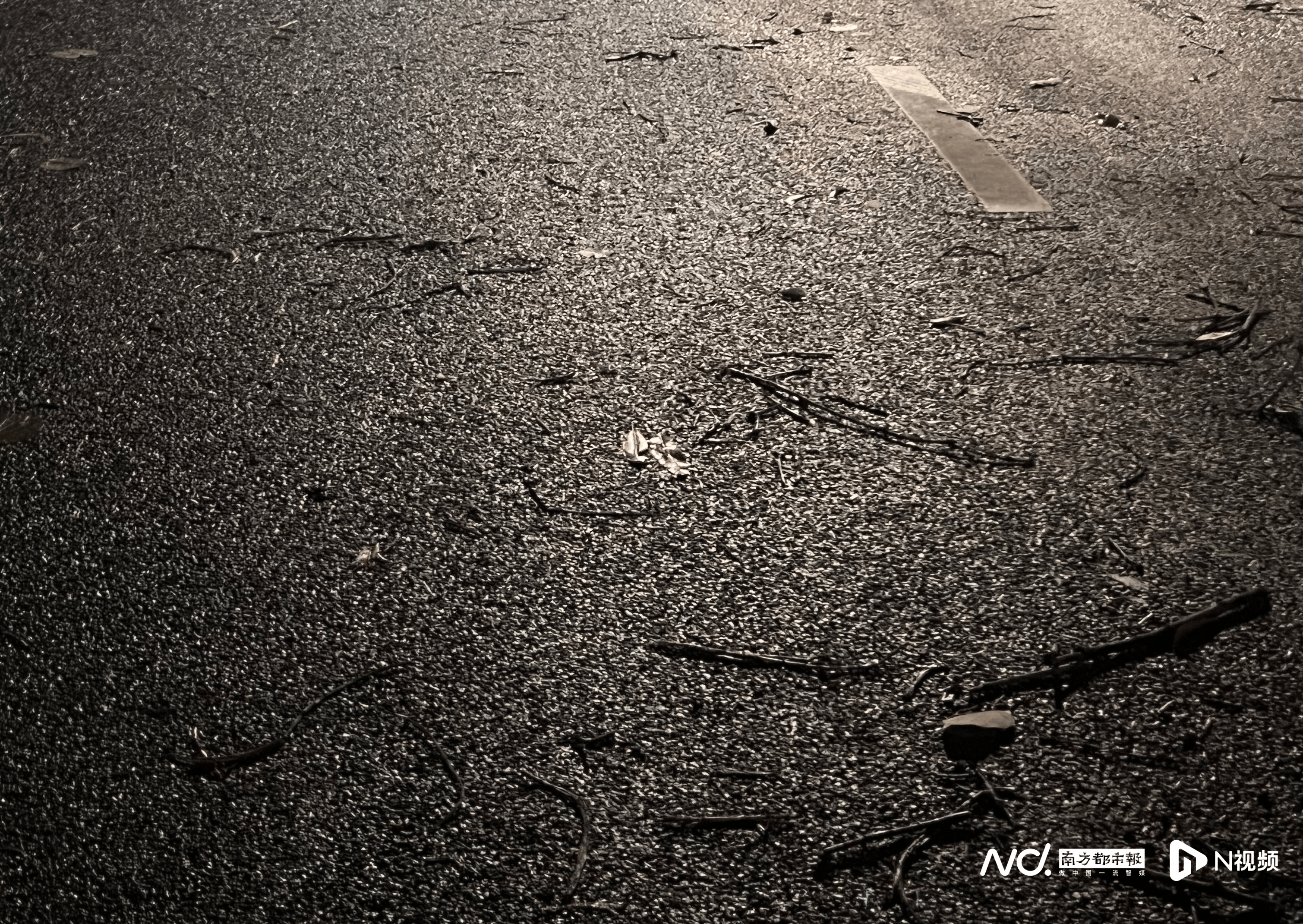 皇冠信用网代理_佛山官宣解除“五停”后两小时内皇冠信用网代理，我们在街头看见