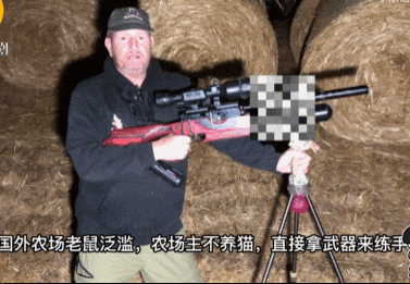 皇冠信用网代理_头部中弹！近日安徽18岁男孩深夜遭遇枪击皇冠信用网代理，枪是从哪来的？